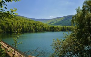 1587457711fotka.jpg